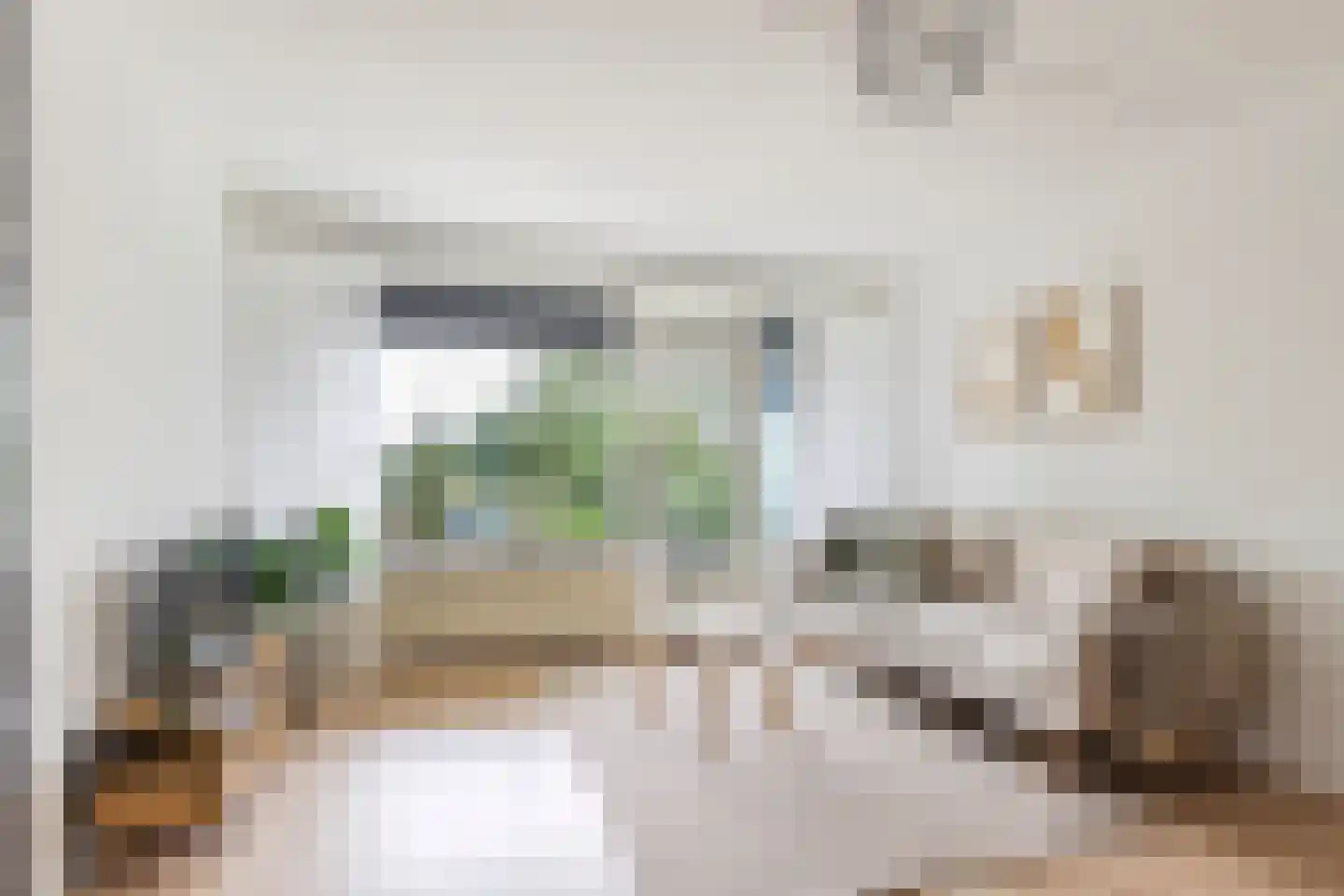 Luit Looymanshof 34 Oudenbosch thumbnail 12