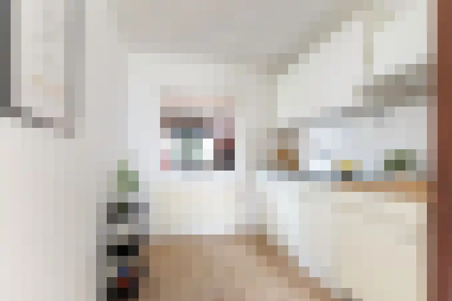 Luit Looymanshof 34 Oudenbosch thumbnail 18