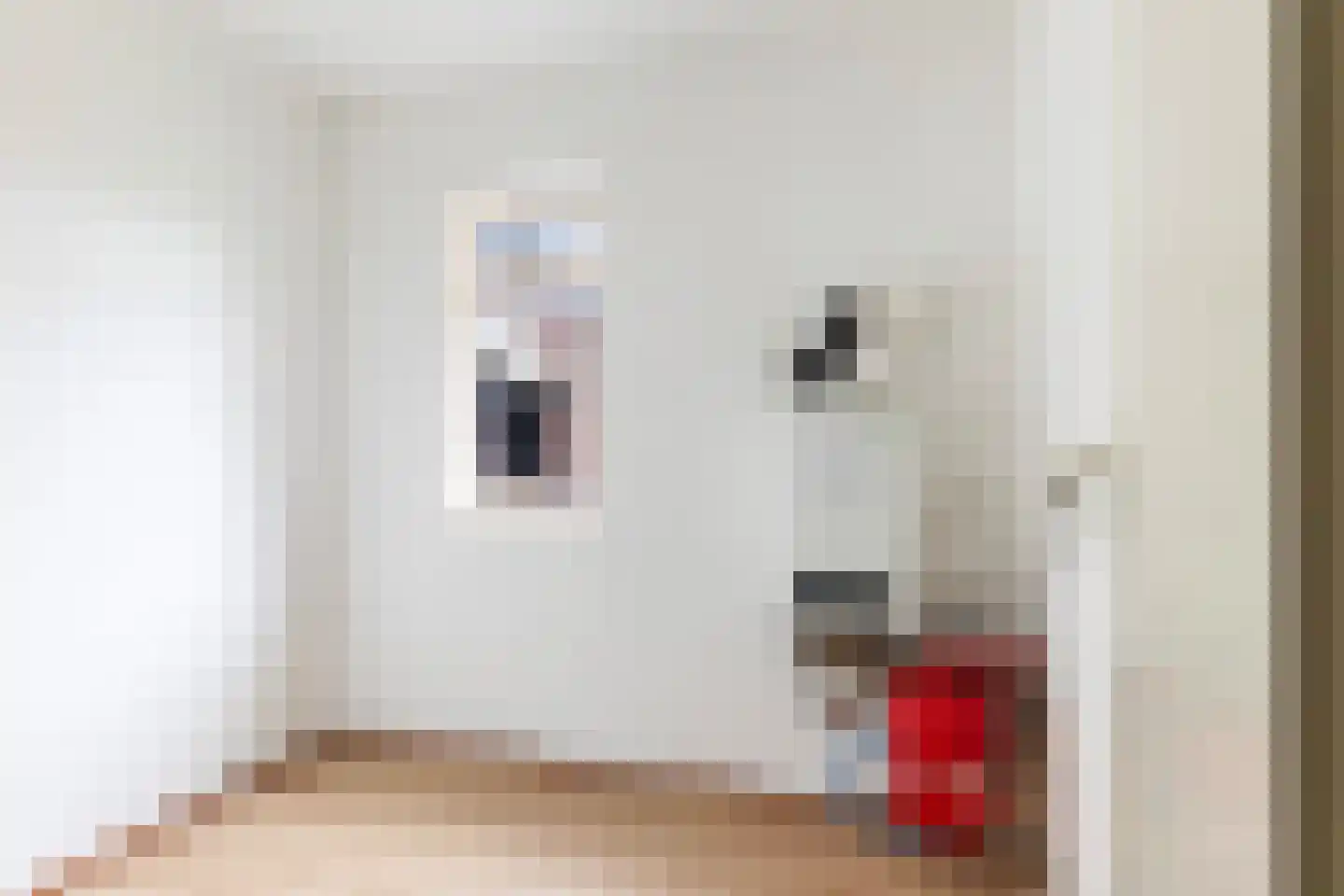 Luit Looymanshof 34 Oudenbosch thumbnail 26