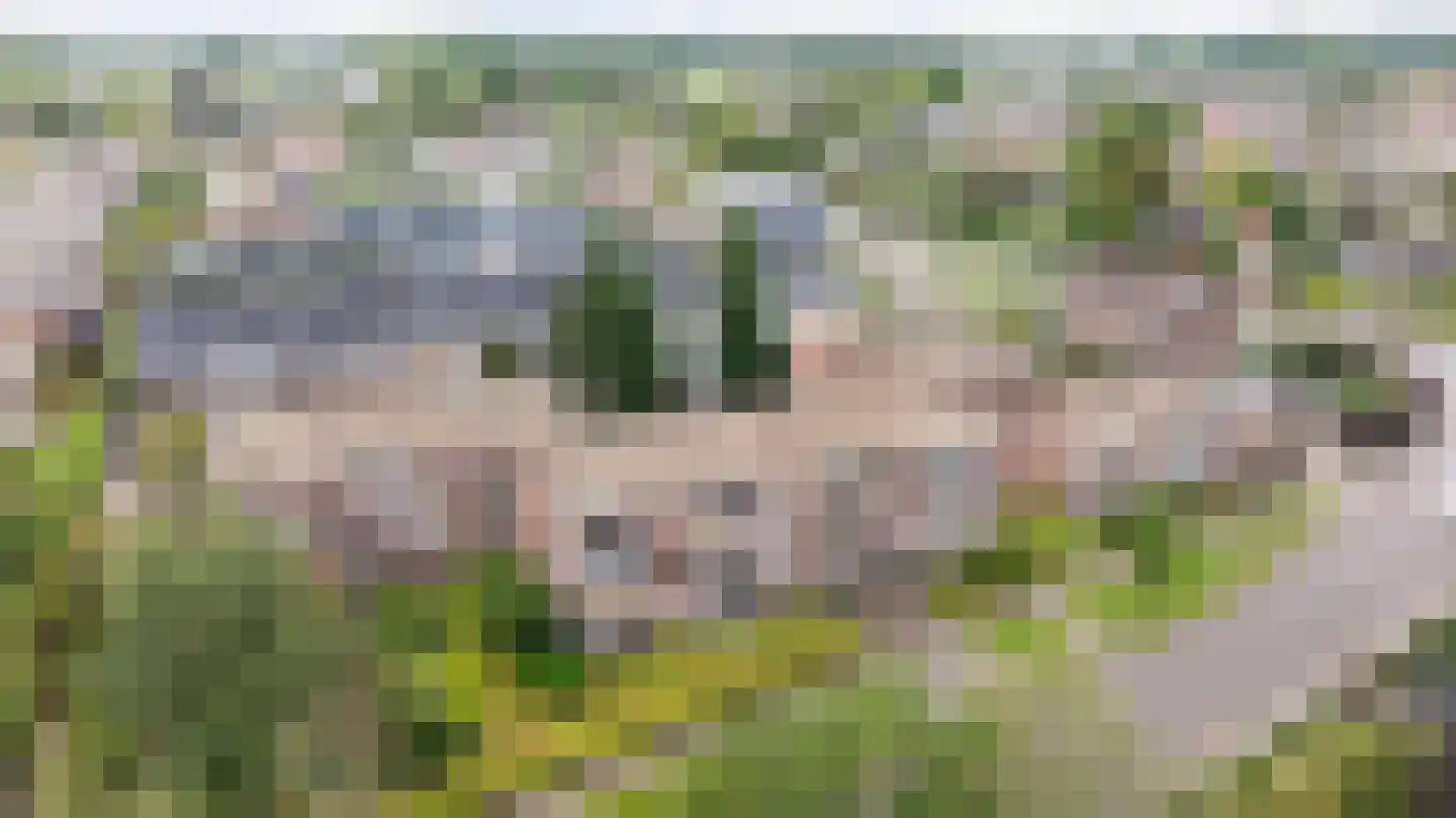 Luit Looymanshof 34 Oudenbosch thumbnail 29