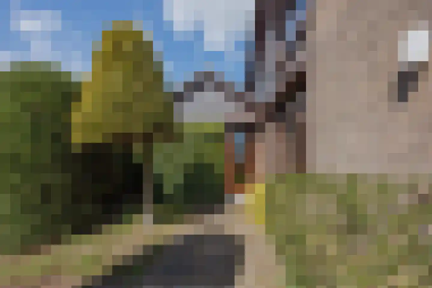 Luiten Ambachtstraat 36 a Raamsdonk thumbnail 12
