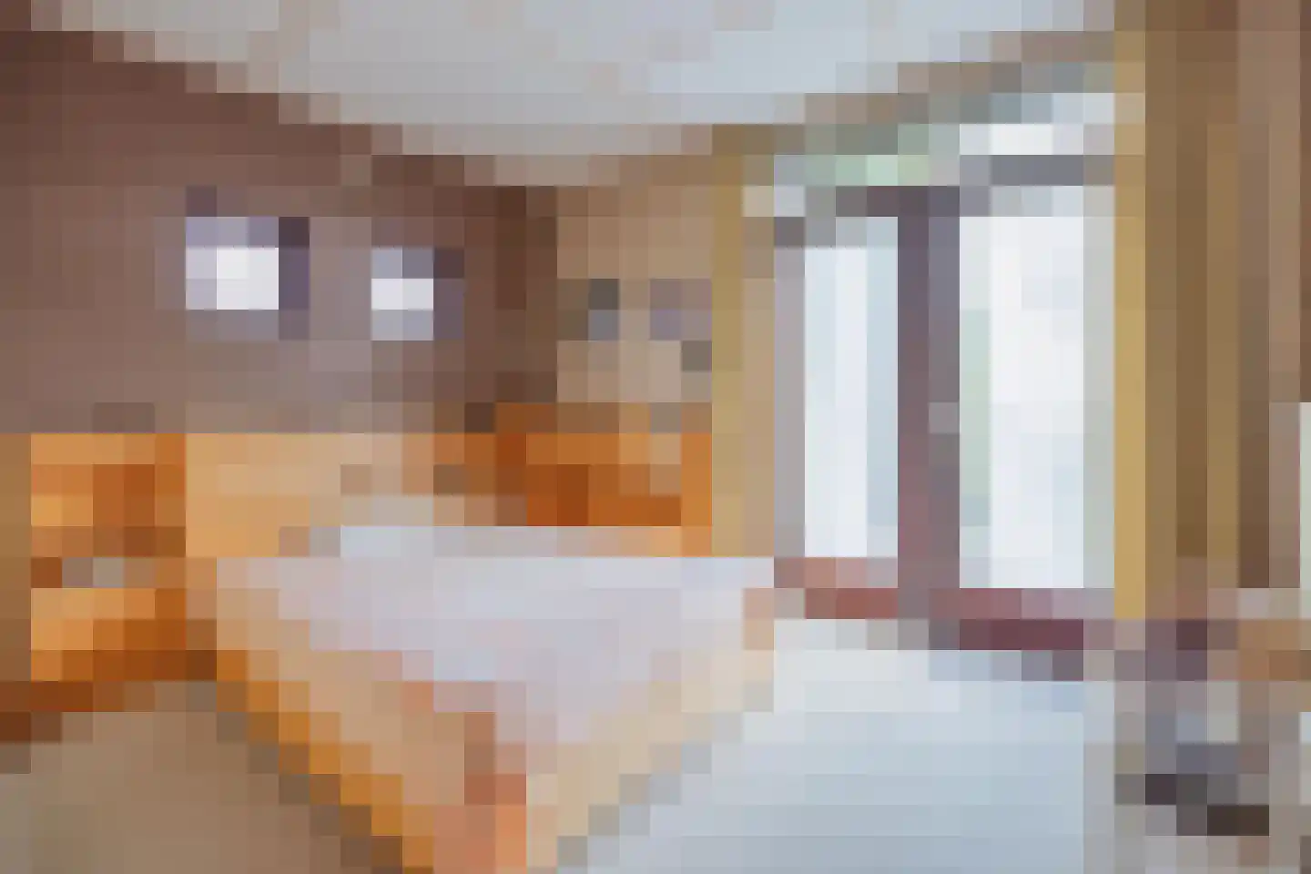 Luiten Ambachtstraat 36 a Raamsdonk thumbnail 16
