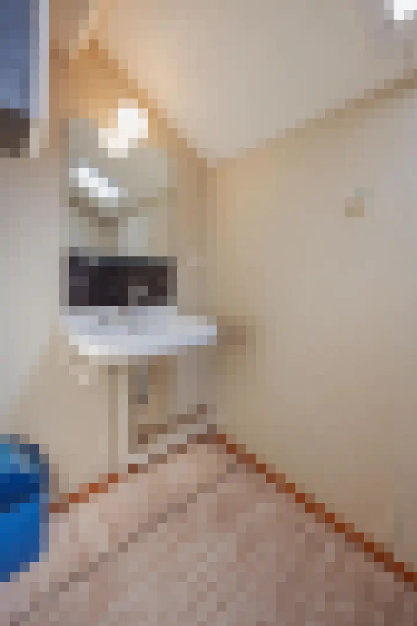 Luiten Ambachtstraat 36 a Raamsdonk thumbnail 37