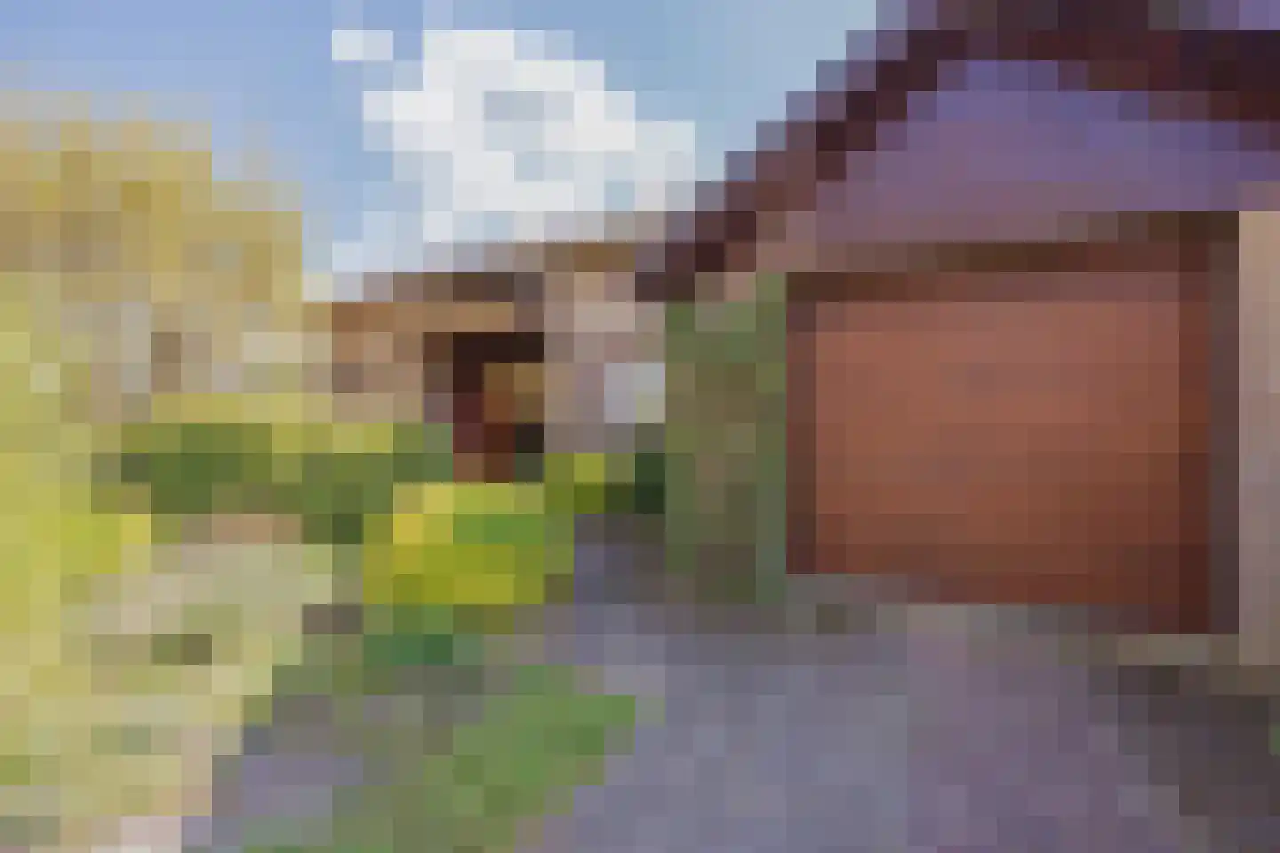 Luiten Ambachtstraat 36 a Raamsdonk thumbnail 8