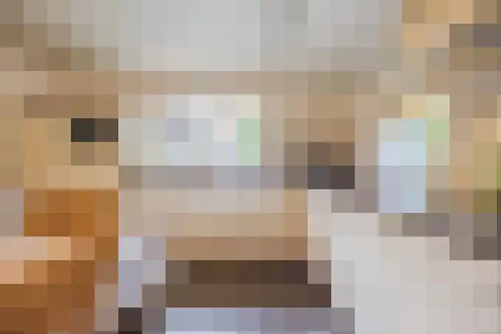Luiten Ambachtstraat 37 Raamsdonk thumbnail 12