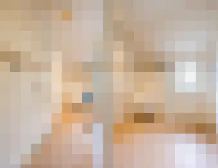 Luiten Ambachtstraat 37 Raamsdonk thumbnail 14