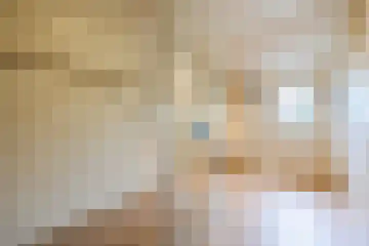 Luiten Ambachtstraat 37 Raamsdonk thumbnail 16