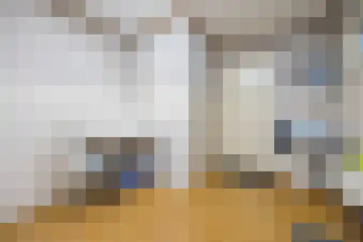 Luiten Ambachtstraat 37 Raamsdonk thumbnail 20