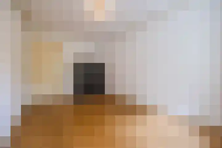 Luiten Ambachtstraat 37 Raamsdonk thumbnail 24