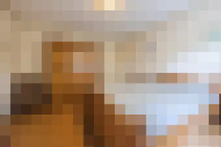 Luiten Ambachtstraat 37 Raamsdonk thumbnail 26