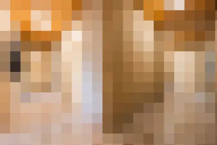 Luiten Ambachtstraat 37 Raamsdonk thumbnail 33