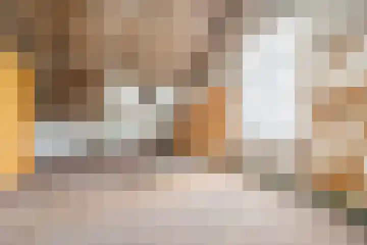 Luiten Ambachtstraat 37 Raamsdonk thumbnail 37
