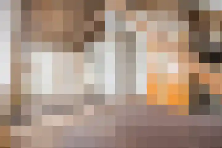 Luiten Ambachtstraat 37 Raamsdonk thumbnail 38