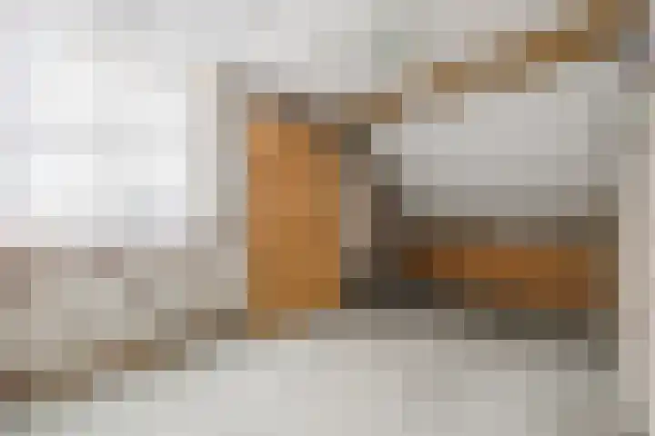 Luiten Ambachtstraat 37 Raamsdonk thumbnail 39