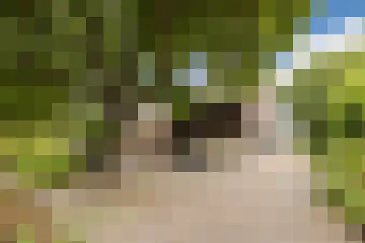 Luiten Ambachtstraat 37 Raamsdonk thumbnail 4