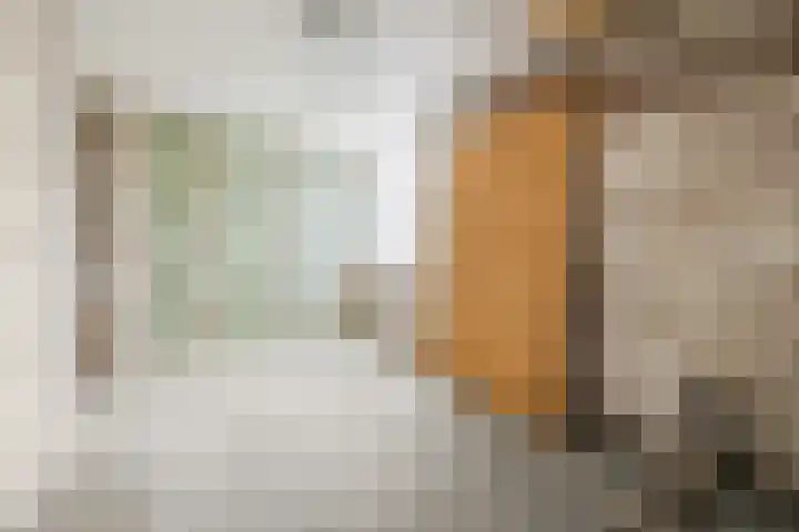 Luiten Ambachtstraat 37 Raamsdonk thumbnail 40