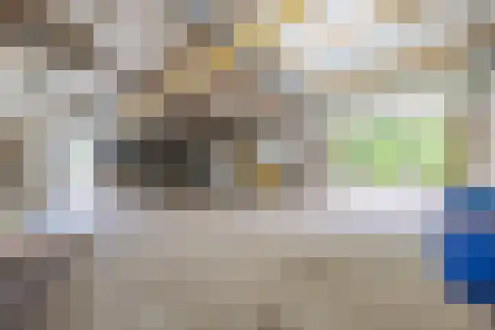 Luiten Ambachtstraat 37 Raamsdonk thumbnail 48