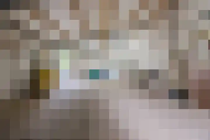 Luiten Ambachtstraat 37 Raamsdonk thumbnail 49