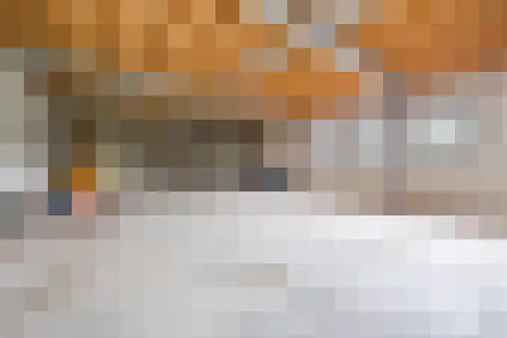 Luiten Ambachtstraat 37 Raamsdonk thumbnail 51