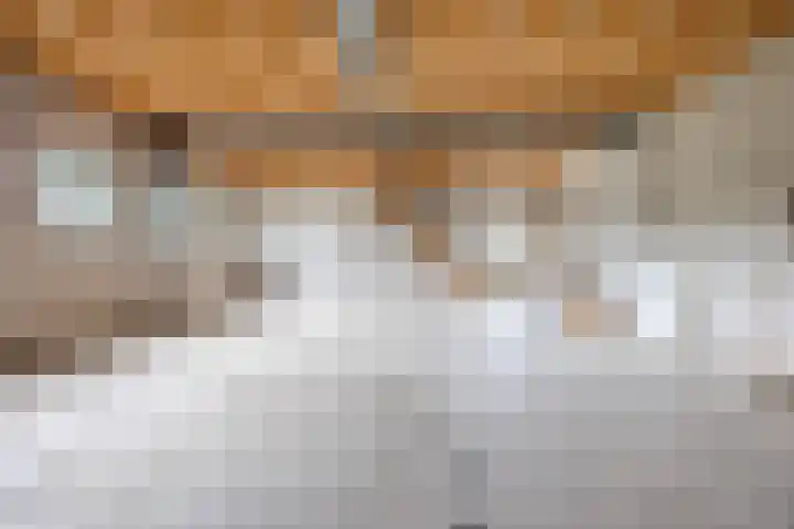 Luiten Ambachtstraat 37 Raamsdonk thumbnail 52