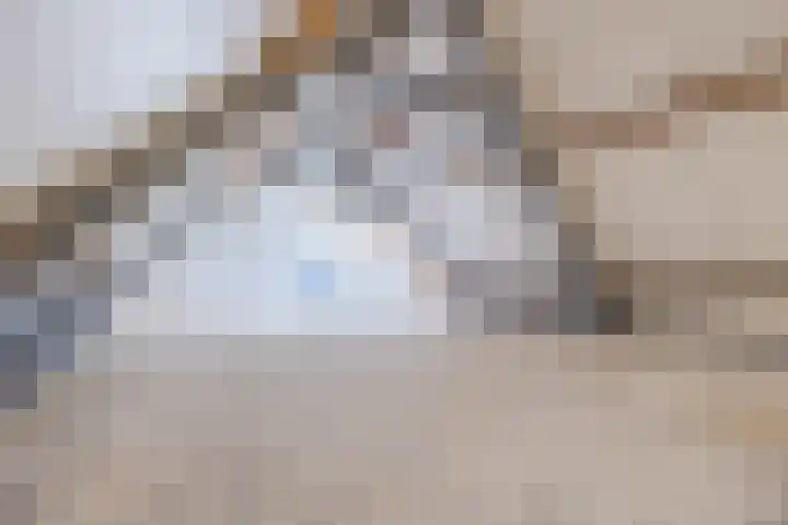 Luiten Ambachtstraat 37 Raamsdonk thumbnail 53