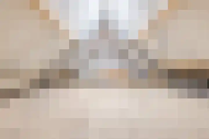 Luiten Ambachtstraat 37 Raamsdonk thumbnail 54