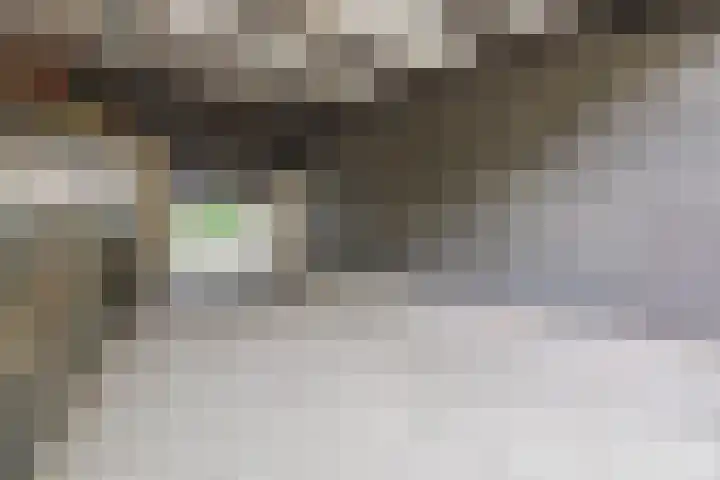 Luiten Ambachtstraat 37 Raamsdonk thumbnail 55