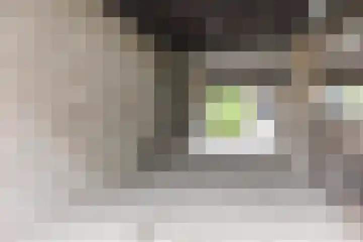 Luiten Ambachtstraat 37 Raamsdonk thumbnail 56