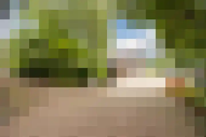 Luiten Ambachtstraat 37 Raamsdonk thumbnail 58