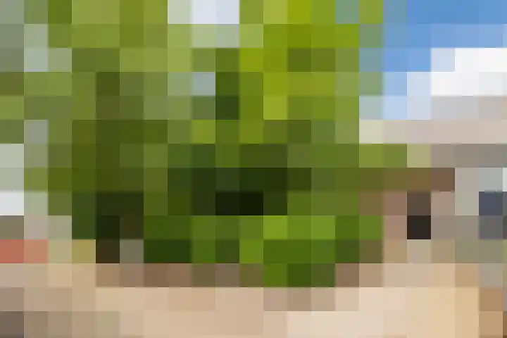 Luiten Ambachtstraat 37 Raamsdonk thumbnail 61