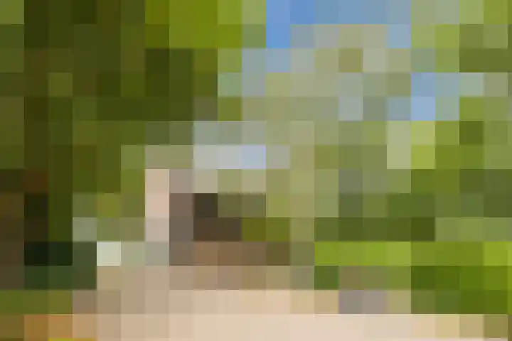 Luiten Ambachtstraat 37 Raamsdonk thumbnail 62