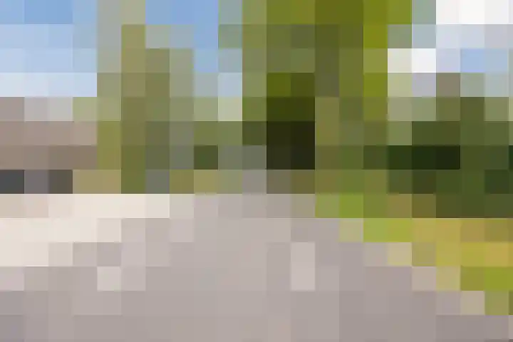Luiten Ambachtstraat 37 Raamsdonk thumbnail 63