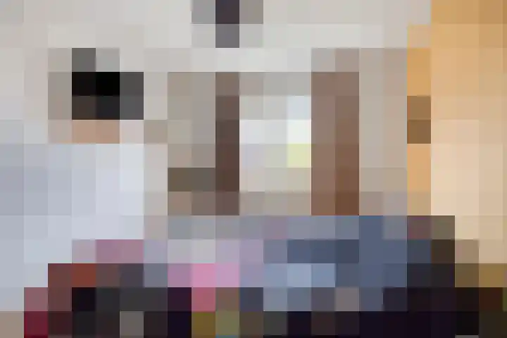 Luitenakker 1 Lierop thumbnail 15