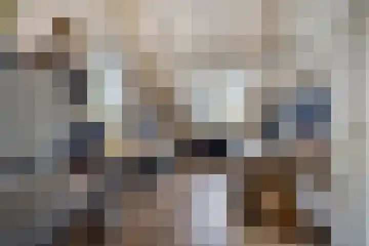 Luitenakker 1 Lierop thumbnail 19