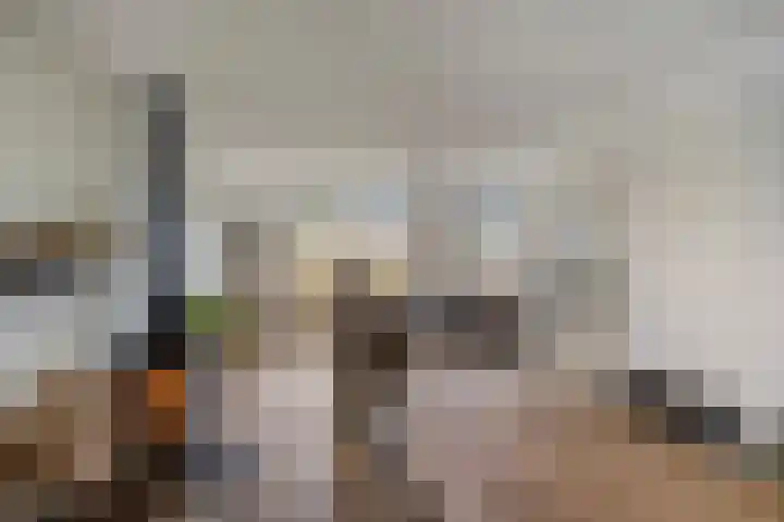 Luitenakker 1 Lierop thumbnail 5