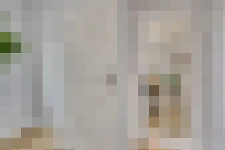 Luitenakker 19 Lierop thumbnail 10