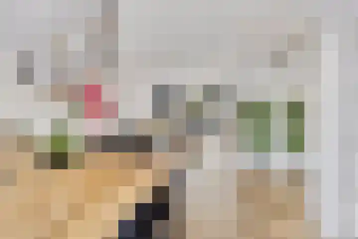 Luitenakker 19 Lierop thumbnail 17