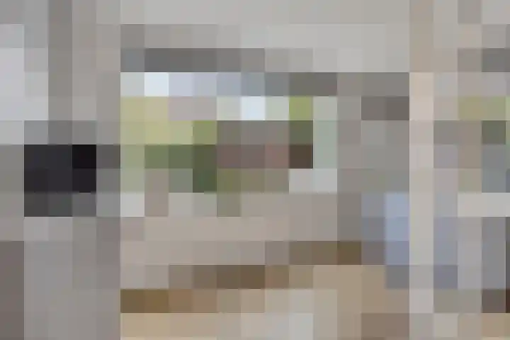 Luitenakker 19 Lierop thumbnail 18