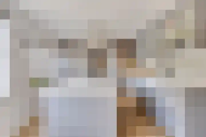 Luitenakker 19 Lierop thumbnail 19