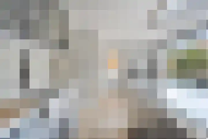 Luitenakker 19 Lierop thumbnail 22