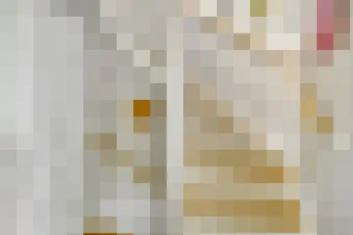 Luitenakker 19 Lierop thumbnail 27