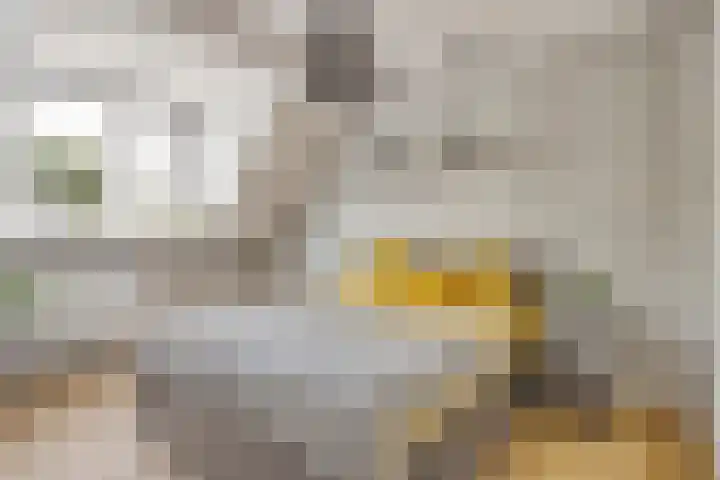 Luitenakker 19 Lierop thumbnail 28
