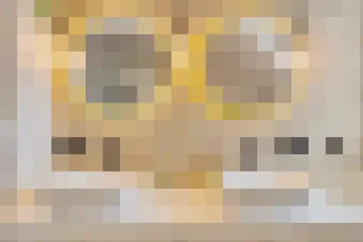 Luitenakker 19 Lierop thumbnail 31