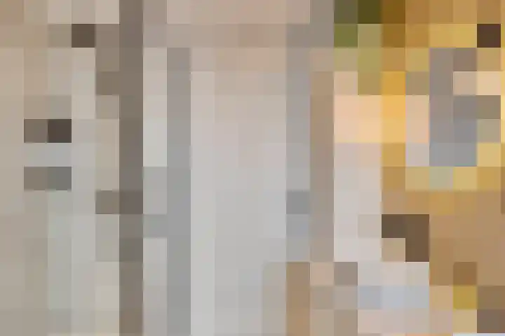 Luitenakker 19 Lierop thumbnail 32