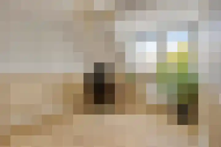 Luitenakker 19 Lierop thumbnail 33