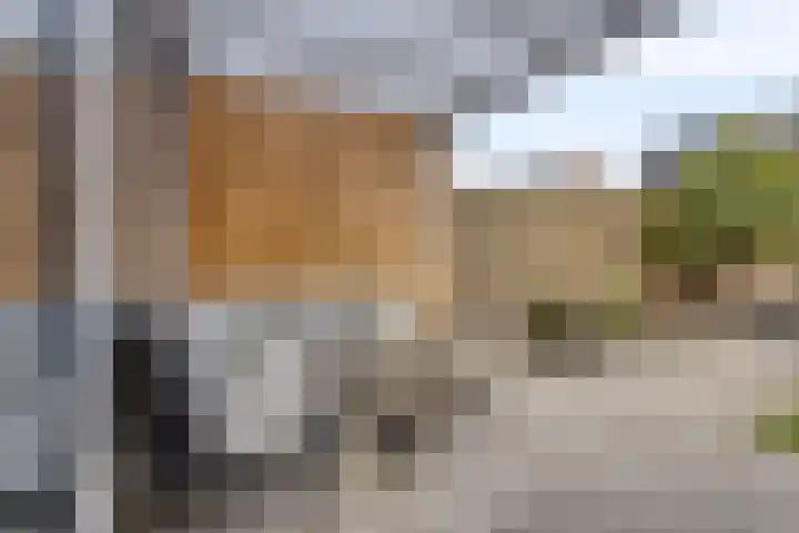 Luitenakker 19 Lierop thumbnail 38