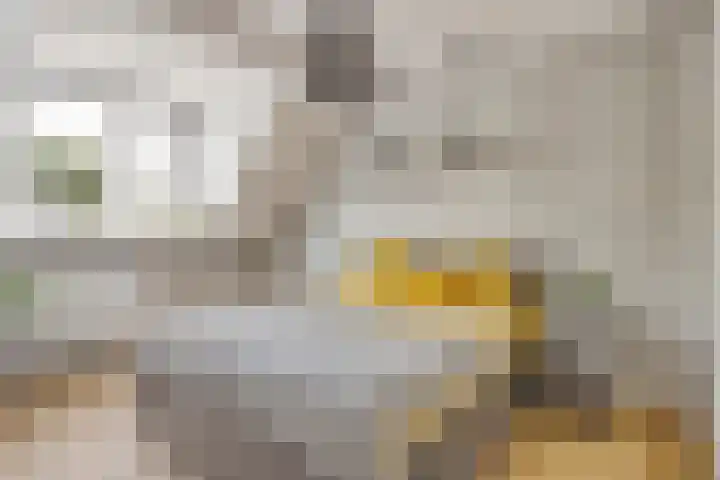 Luitenakker 19 Lierop thumbnail 4