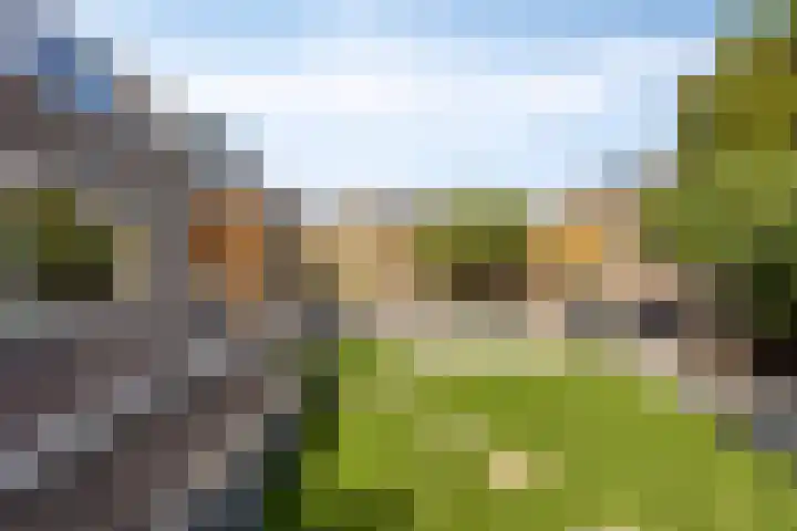Luitenakker 19 Lierop thumbnail 41