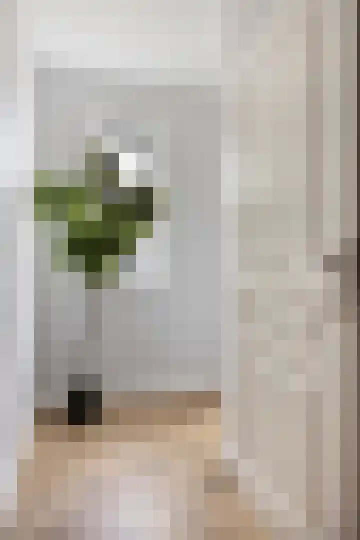Luitenakker 19 Lierop thumbnail 7