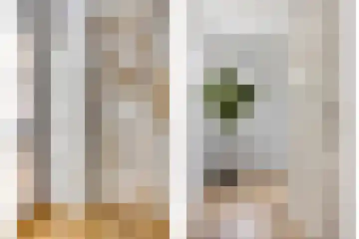 Luitenakker 19 Lierop thumbnail 9